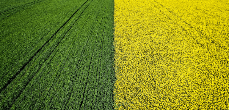 Agro and food Agro and food